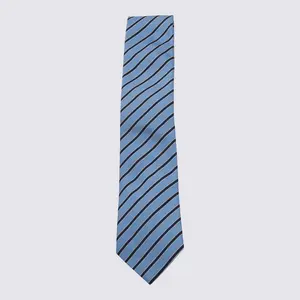 Zegna Light Blue Silk Tie