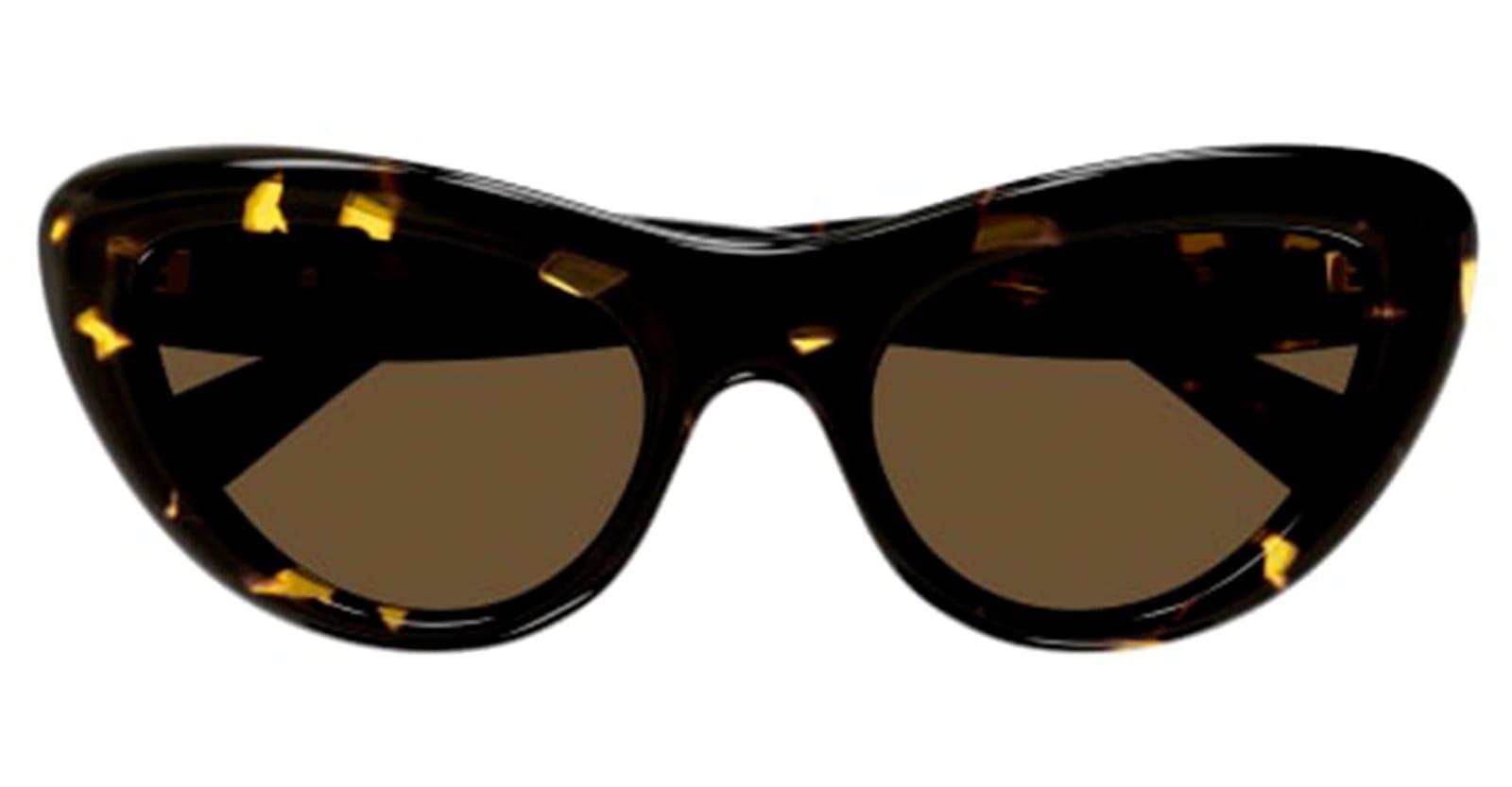 Bottega Veneta Eyewear Bottega Veneta BV1282S 002 Sunglasses in Havana
