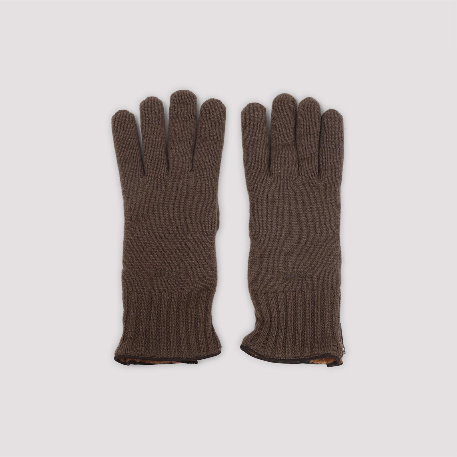 Zegna Oasi Gloves
