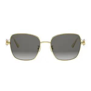 Dior Eyewear Diortribales Oro Sunglasses